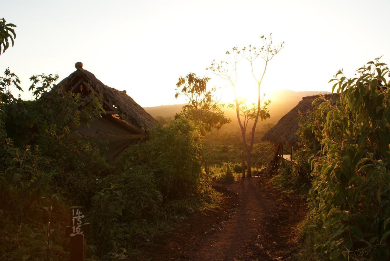 Crater Forest Tented Lodge Karatu Εξωτερικό φωτογραφία